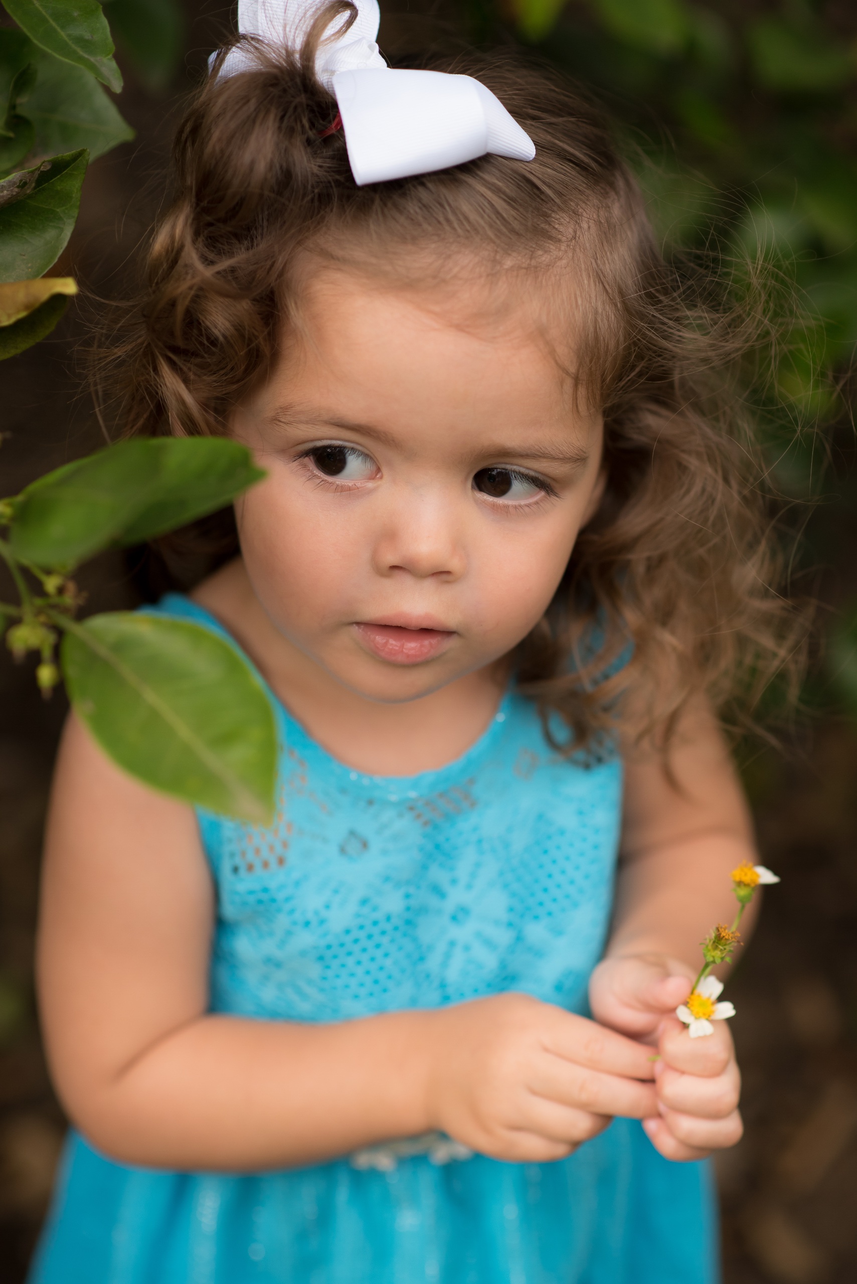 The Maggards Orange Grove Family — photograph 6
