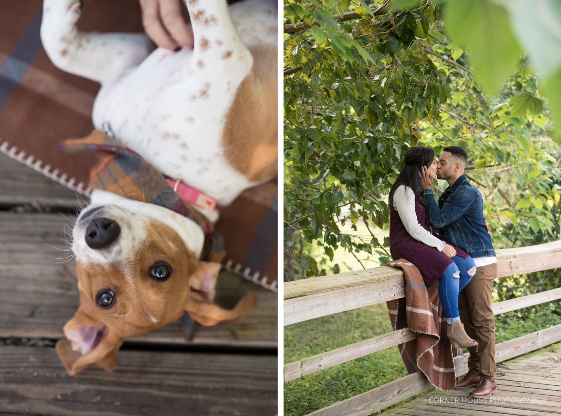 Orlando Anniversary Photographer Orlando Anniversary Photographer