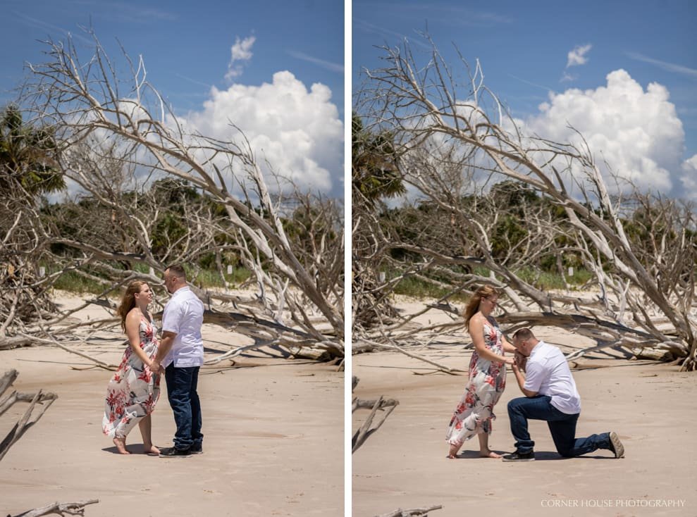 Engagement at Big Talbot Island Engagement at Big Talbot Island