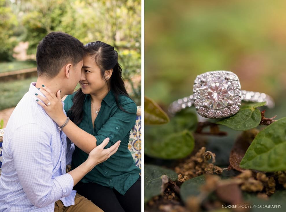 Bok Tower Gardens Engagement