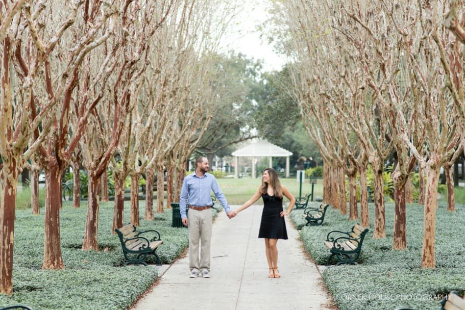 Celebration Engagement Celebration Engagement