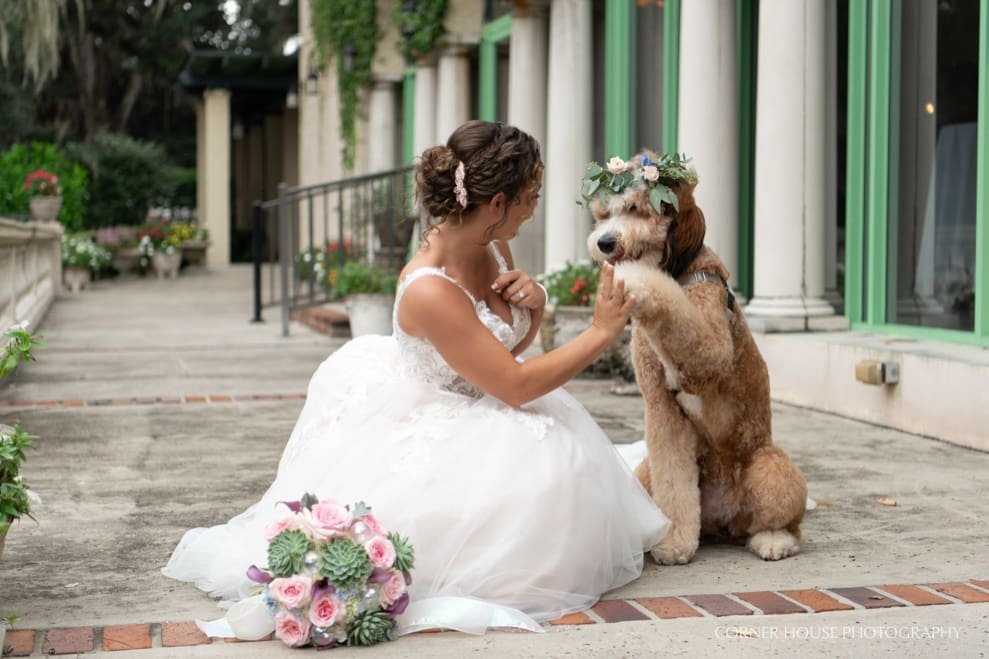 Club Continental Wedding Photographer Club Continental Wedding Photographer