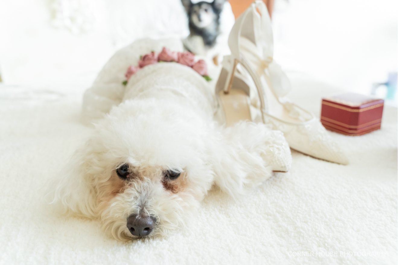 Annie & Saw’s Costa d’Este Beach Resort Wedding