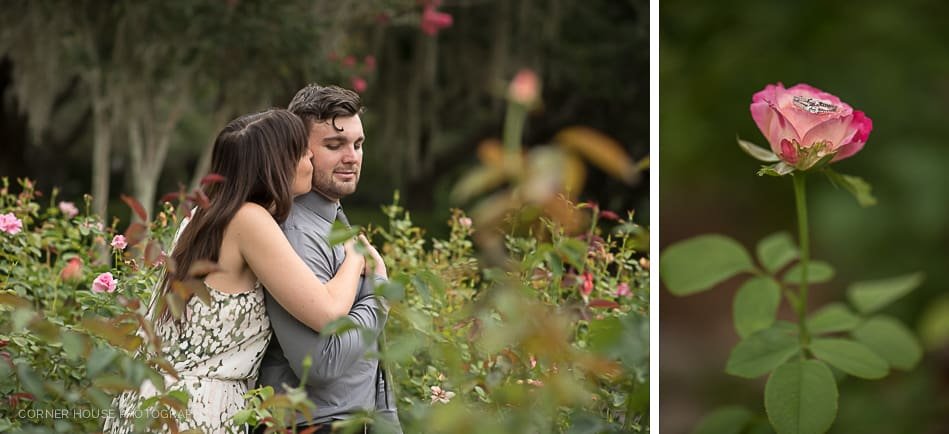 Patriotic Cypress Grove Engagement Patriotic Cypress Grove Engagement