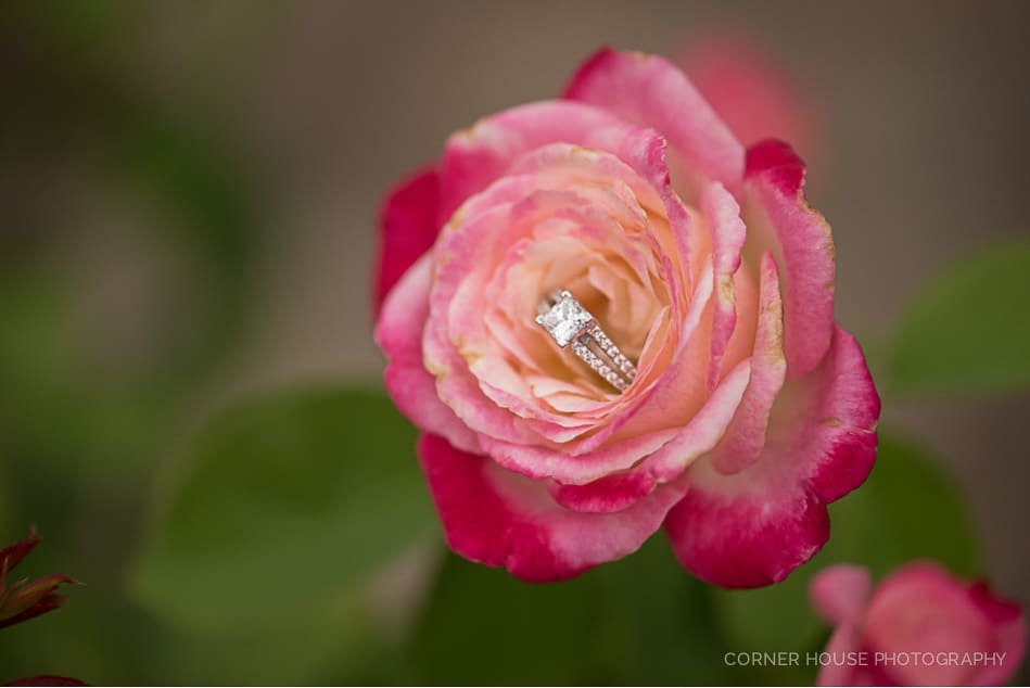 Patriotic Cypress Grove Engagement Patriotic Cypress Grove Engagement
