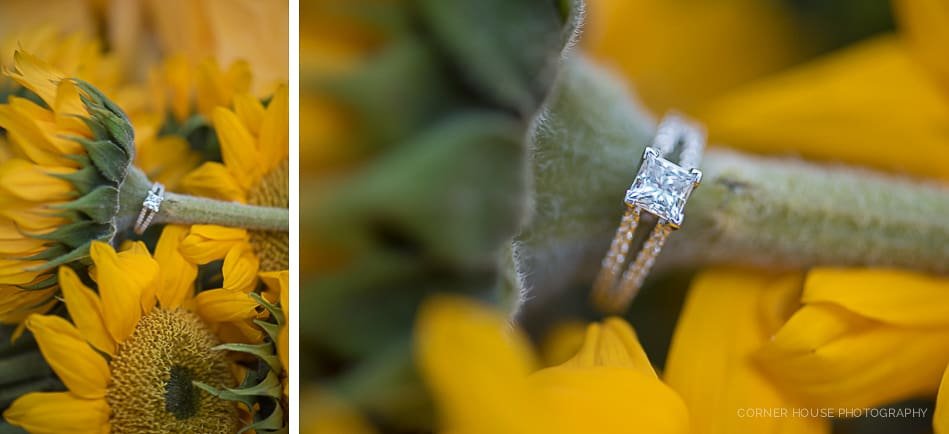 Patriotic Cypress Grove Engagement Patriotic Cypress Grove Engagement