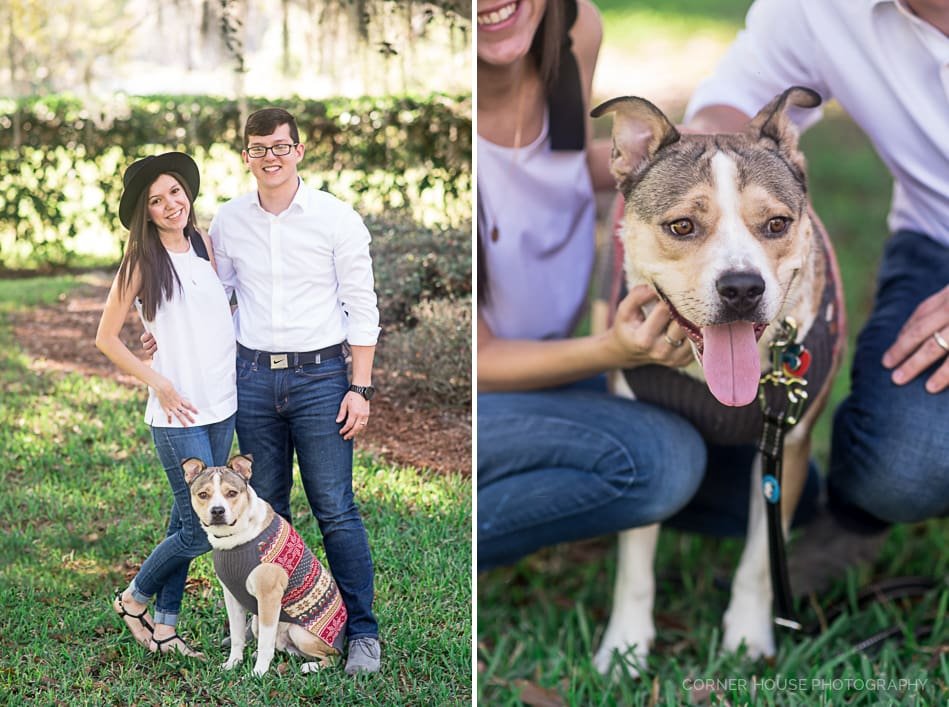 Cypress Grove Park Engagement Cypress Grove Park Engagement