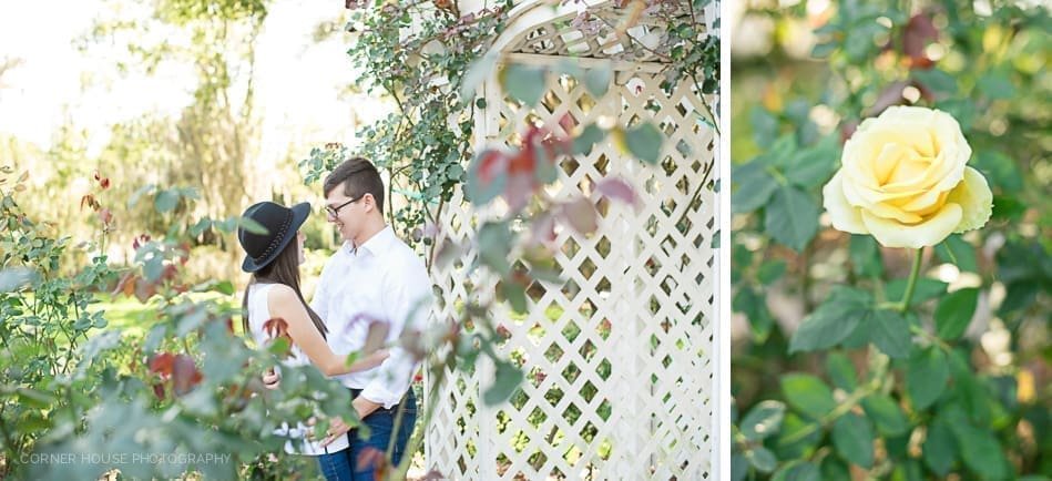 Cypress Grove Park Engagement Cypress Grove Park Engagement