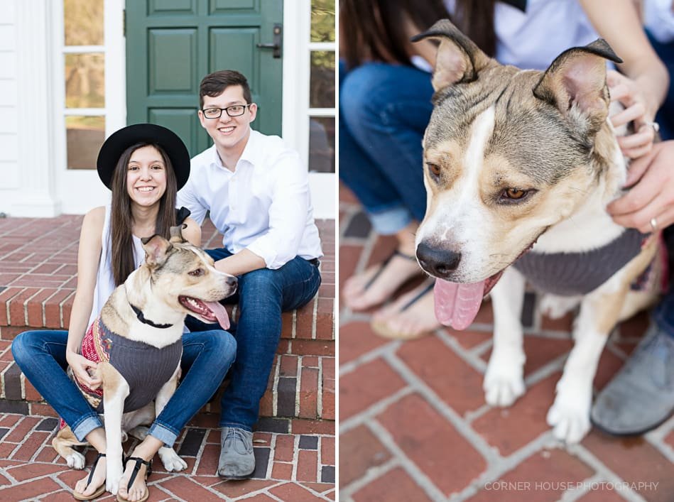 Cypress Grove Park Engagement Cypress Grove Park Engagement