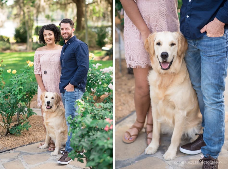 Cypress Grove Rose Garden Engagement Cypress Grove Rose Garden Engagement