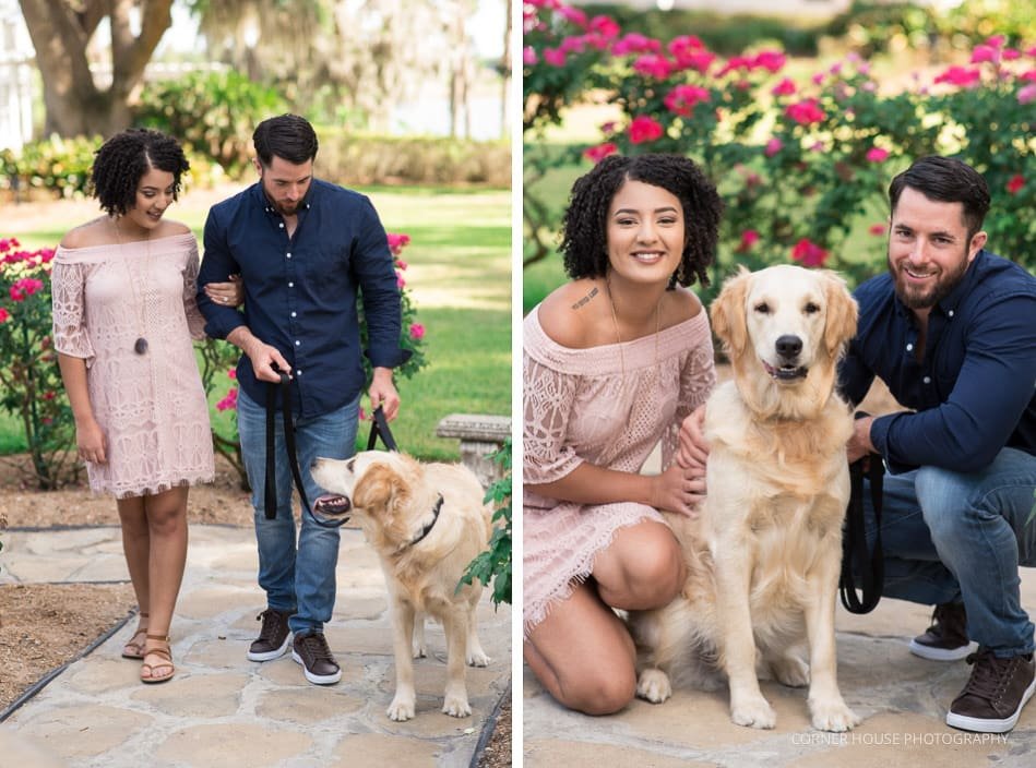 Cypress Grove Rose Garden Engagement Cypress Grove Rose Garden Engagement