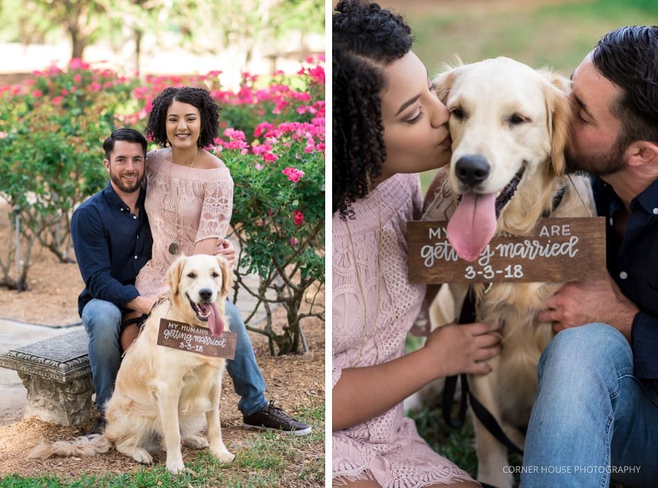 Cypress Grove Rose Garden Engagement Cypress Grove Rose Garden Engagement