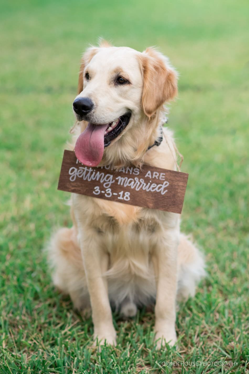 Cypress Grove Rose Garden Engagement Cypress Grove Rose Garden Engagement