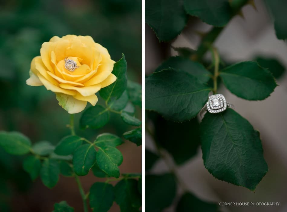 Cypress Grove Rose Garden Engagement Cypress Grove Rose Garden Engagement