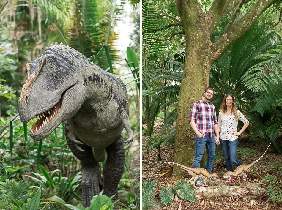 Dinosaur Engagement Leu Gardens Dinosaur Engagement Leu Gardens