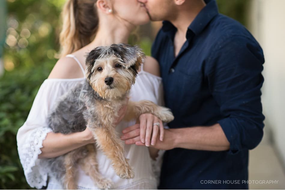 Ashley & Brandon’s Puppy Love Engagement in Downtown St Augustine