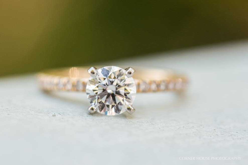Amber & Justin’s Leu Gardens Engagement