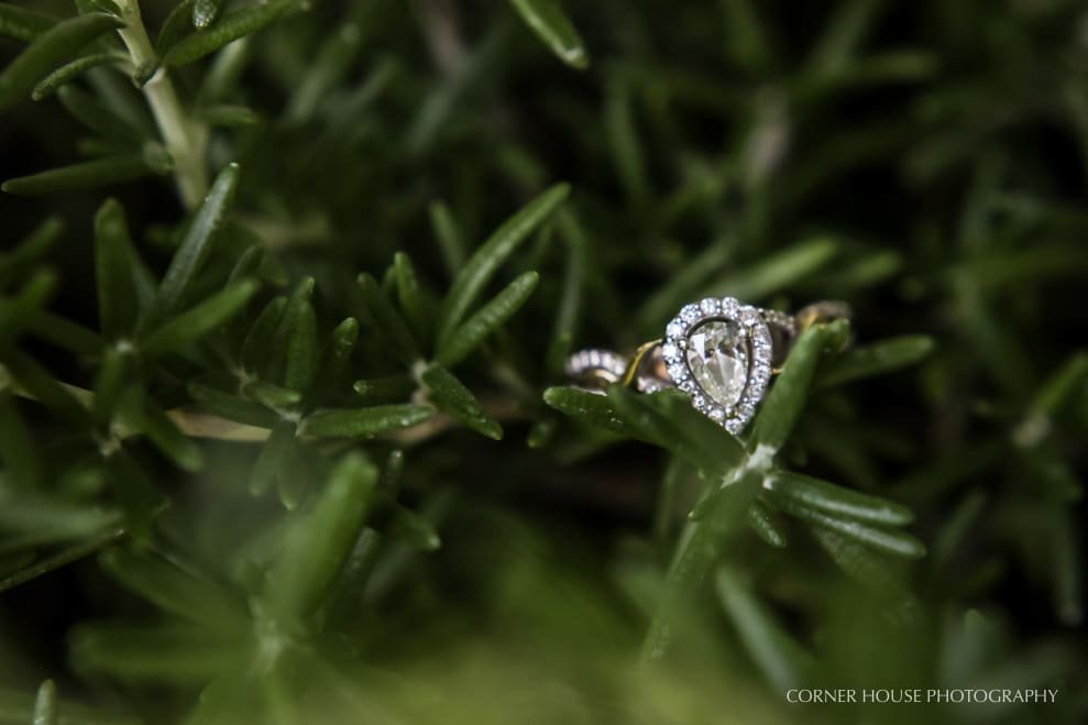 Engagement at Harry P. Leu Gardens Engagement at Harry P. Leu Gardens
