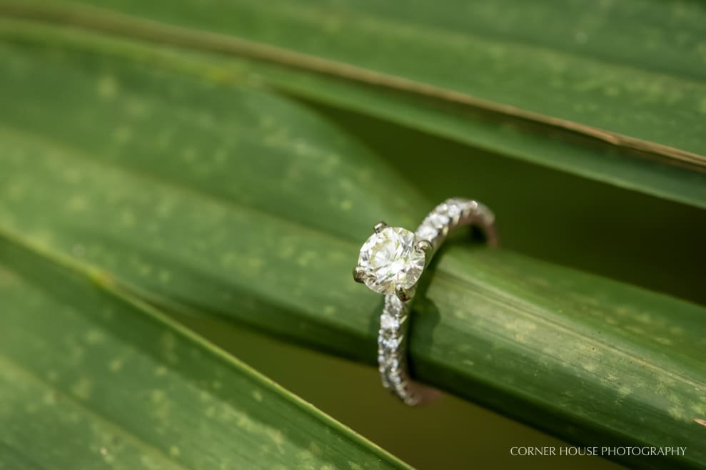 Engagement at Lettuce Lake Park Engagement at Lettuce Lake Park