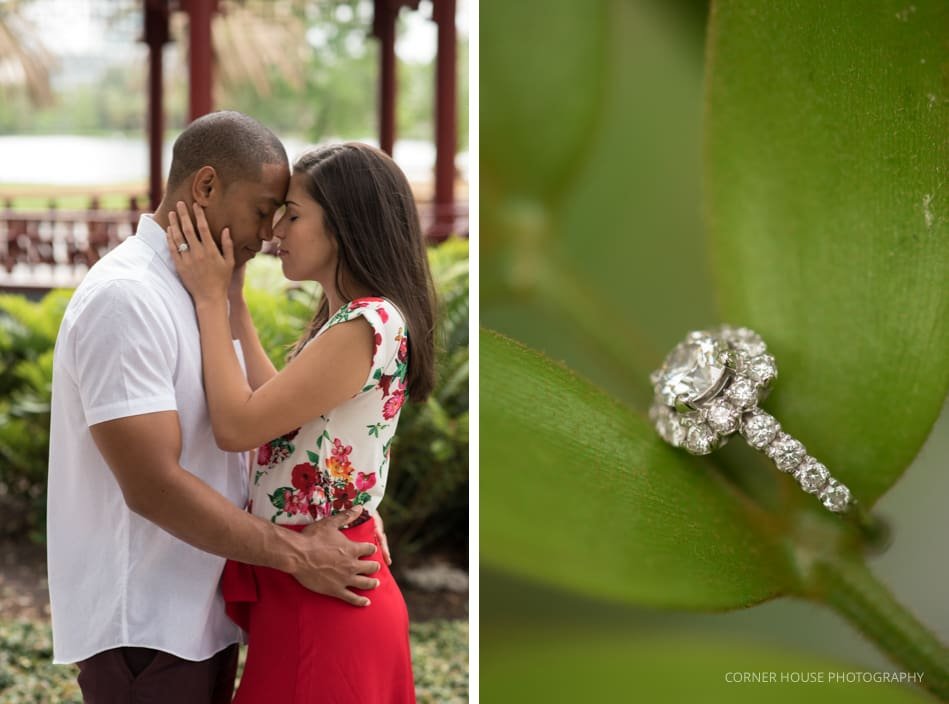 Engagement Lake Eola