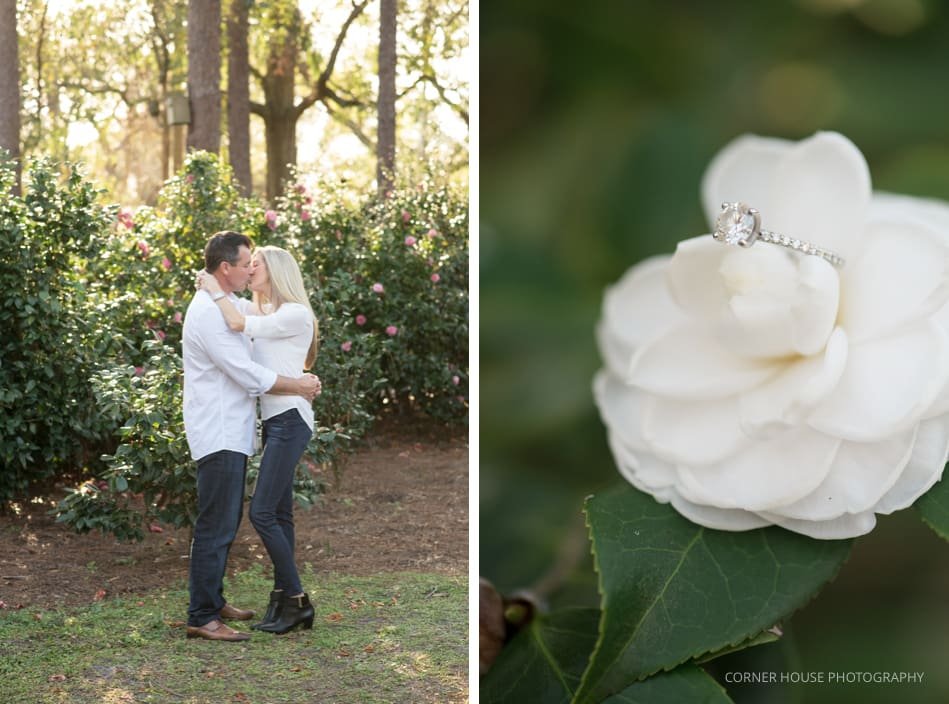 Mead Gardens Engagement Mead Gardens Engagement