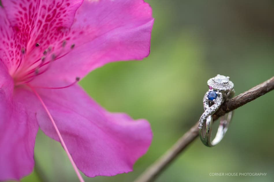 Winter Park Engagement 