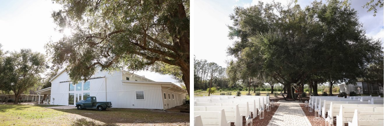 Ever After Farms Citrus Wedding