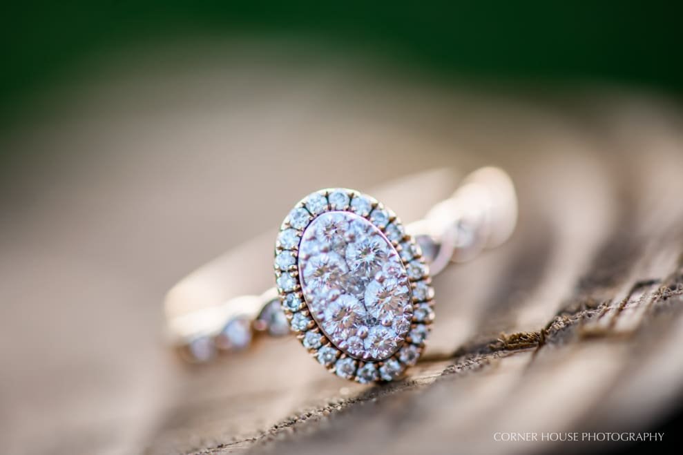 Priscilla & Justin’s Ever After Farms Blueberry Barn Engagement