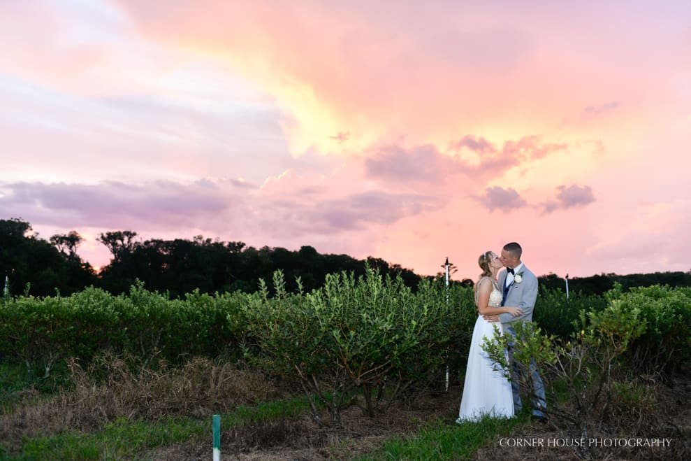 Ever After Farms Blueberry Barn Wedding