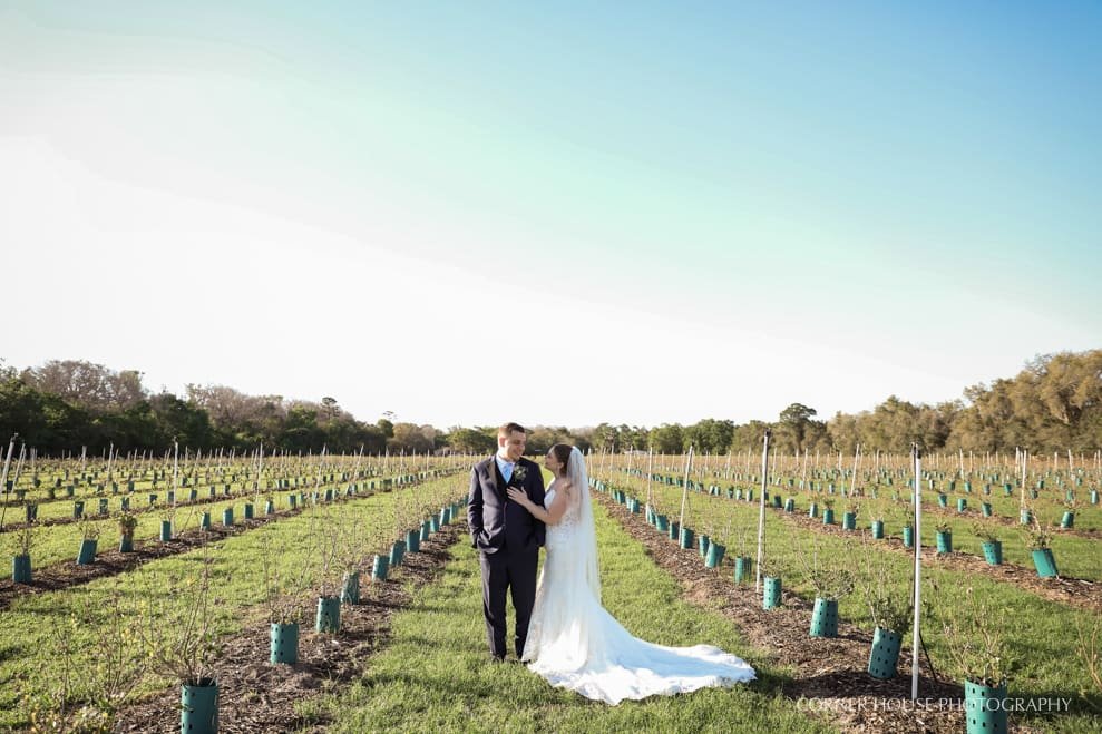 Ever After Farms Blueberry Barn Wedding Ever After Farms Blueberry Barn Wedding
