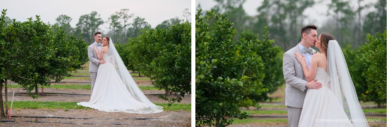ever after farms citrus wedding venue