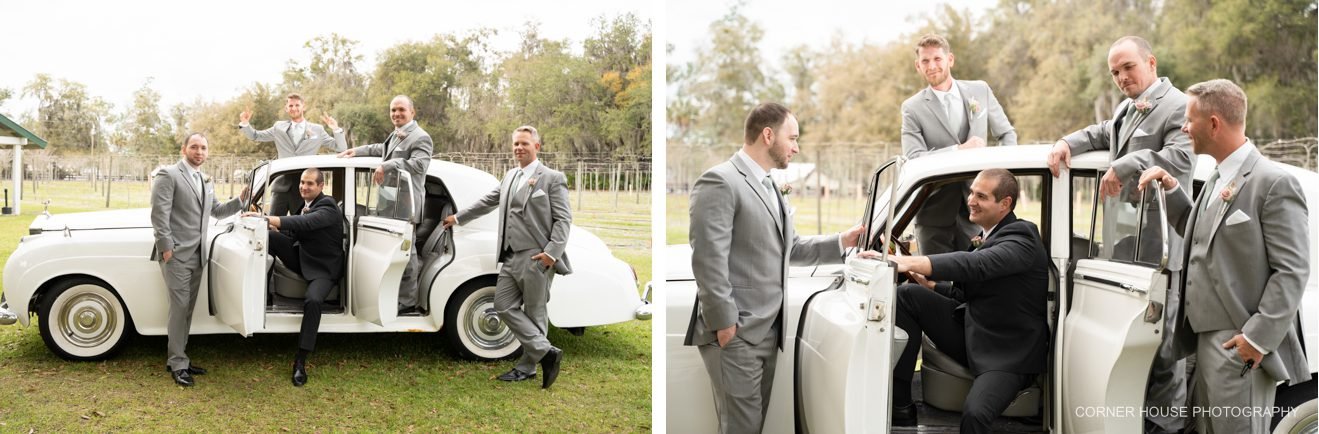 Ever After Farms Vineyard Wedding