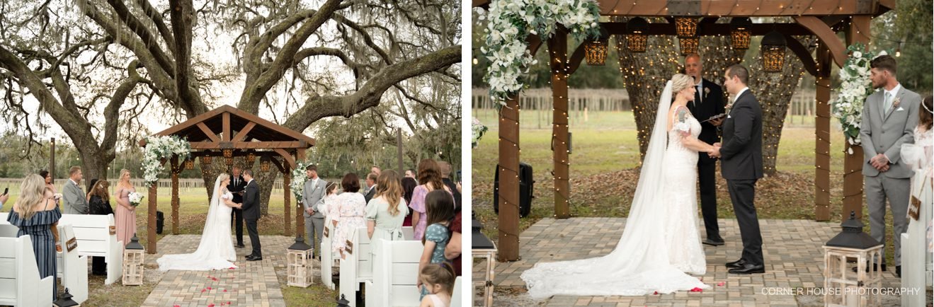 Ever After Farms Vineyard Wedding