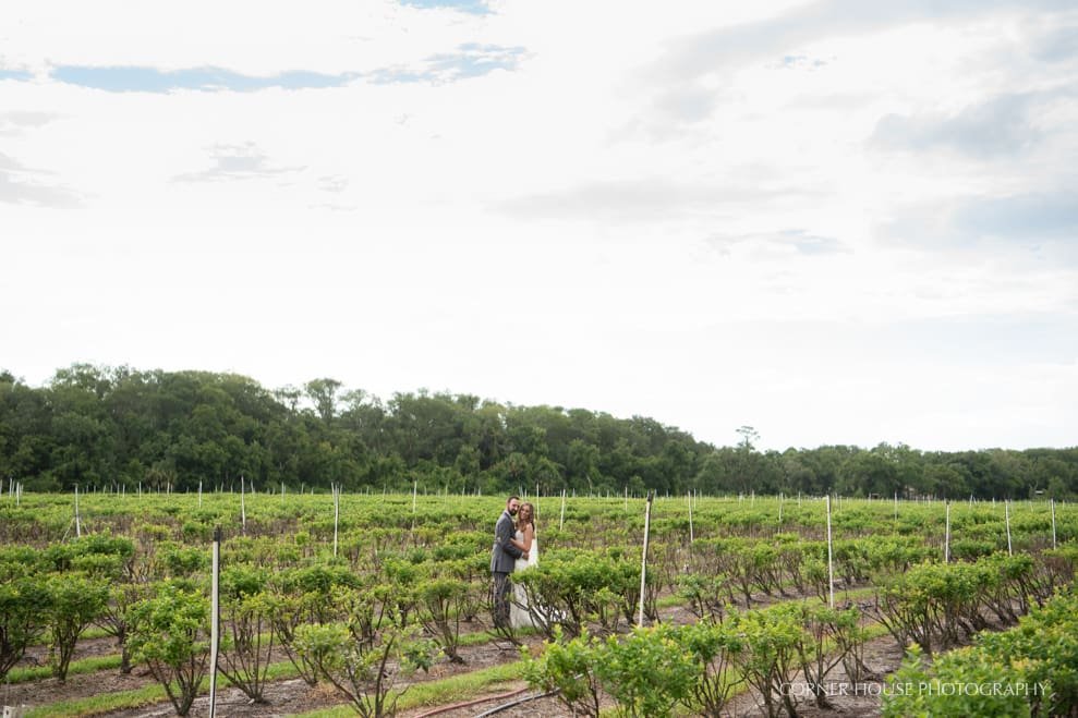 Ever After Farms Wedding Blueberry Ever After Farms Wedding Blueberry