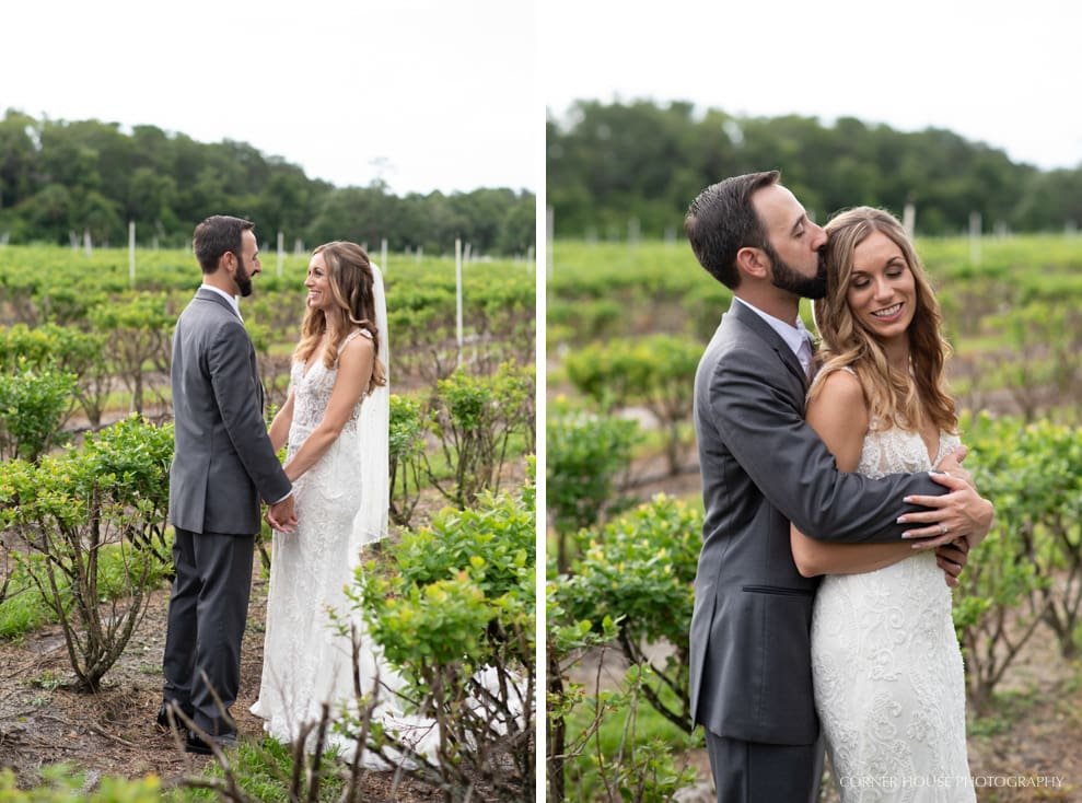 Ever After Farms Wedding Blueberry Ever After Farms Wedding Blueberry