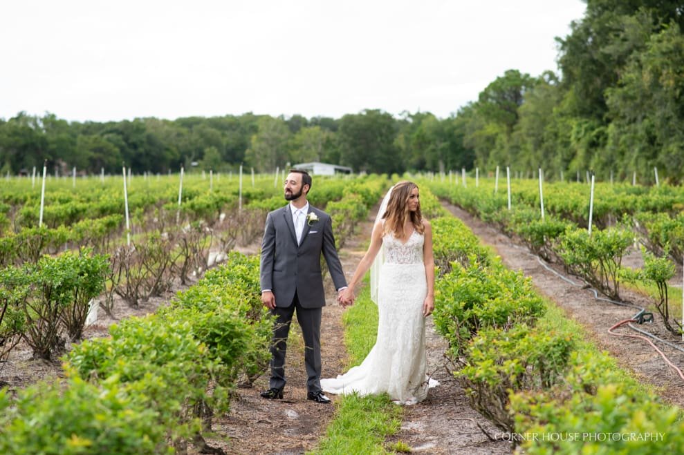 Ever After Farms Wedding Blueberry Ever After Farms Wedding Blueberry