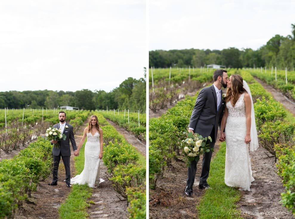 Ever After Farms Wedding Blueberry Ever After Farms Wedding Blueberry