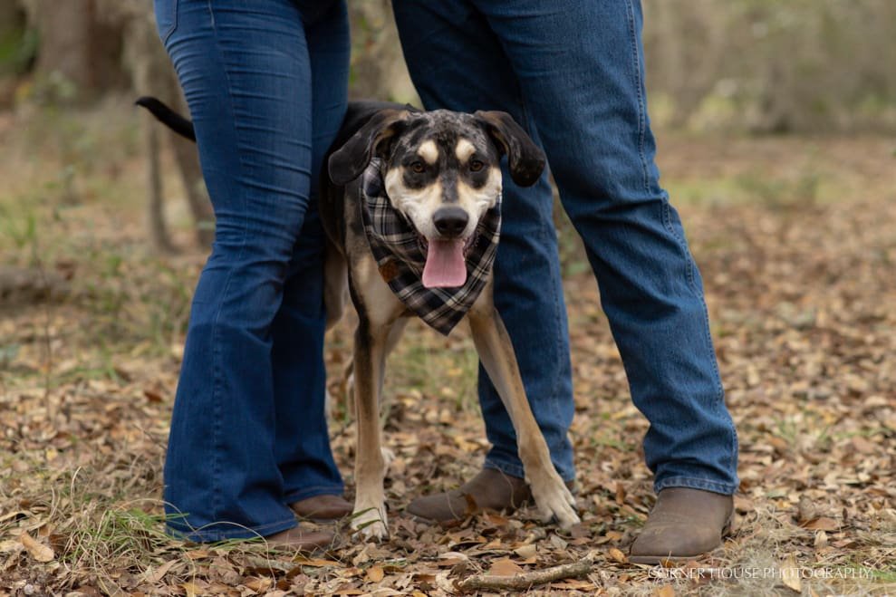 Virginia & Barry’s Forest Engagement