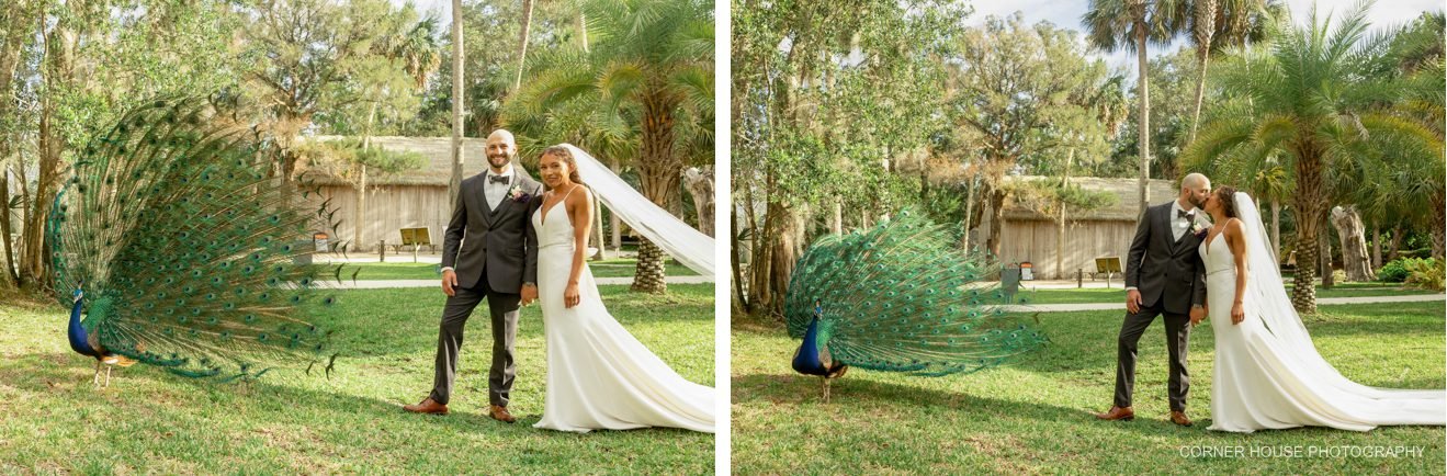Fountain of Youth Archaeological Park Wedding