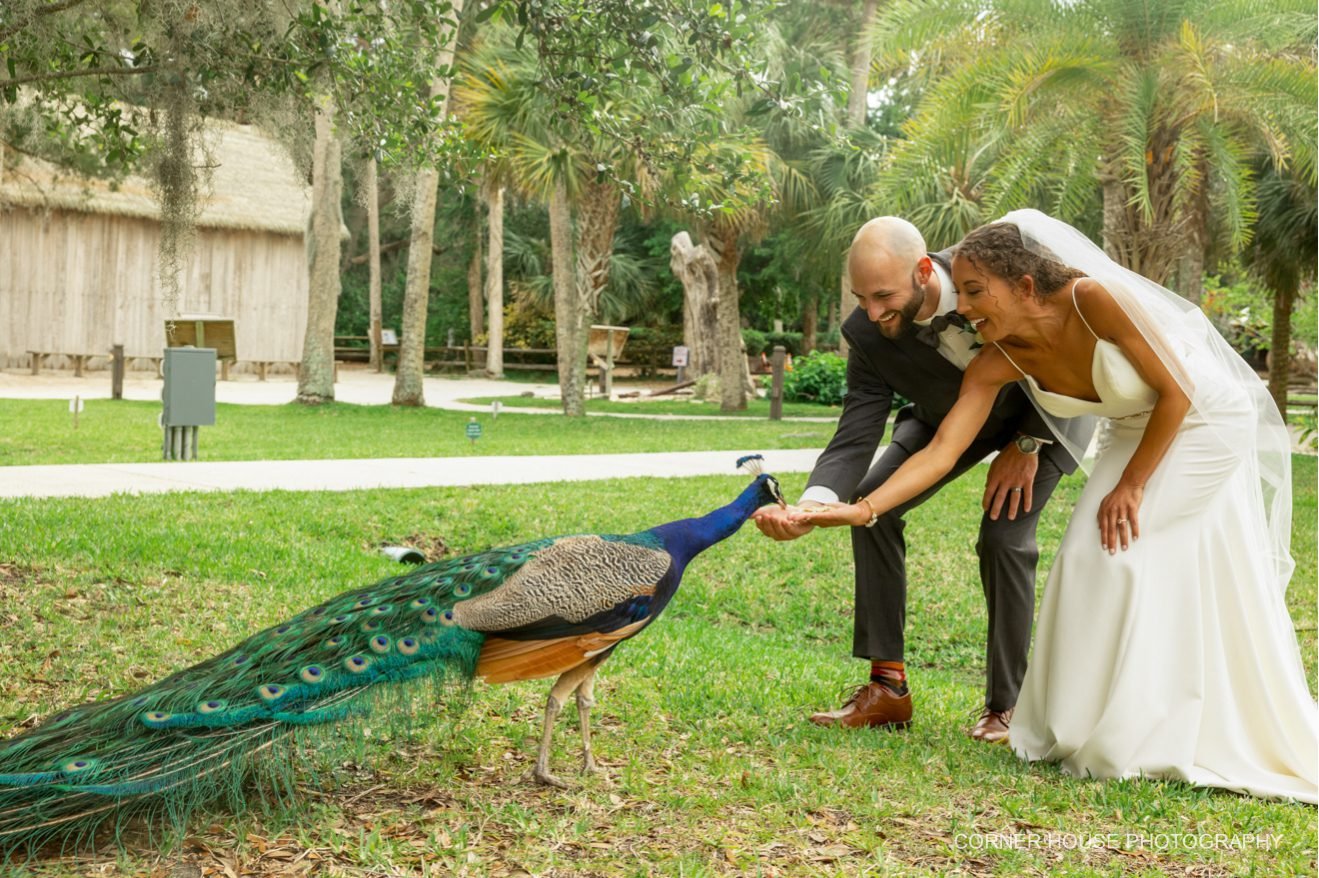 Fountain of Youth Archaeological Park Wedding