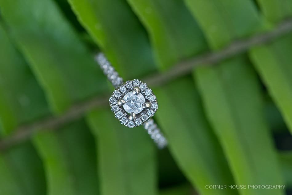 Gemini Springs Park Engagement Gemini Springs Park Engagement