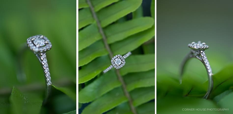 Gemini Springs Park Engagement Gemini Springs Park Engagement