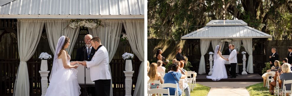 Harmony Haven Wedding Harmony Haven Wedding