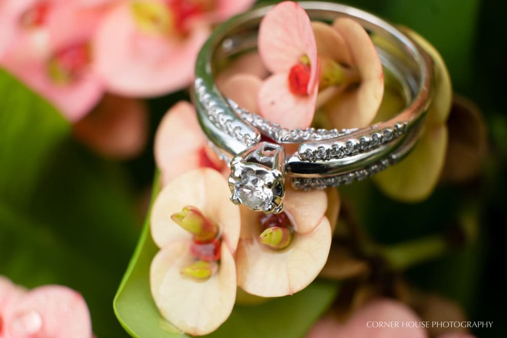 Harry P Leu Garden Engagement Harry P Leu Garden Engagement