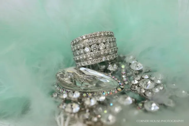 Ebony & Christopher’s Harry P Leu Gardens Engagement