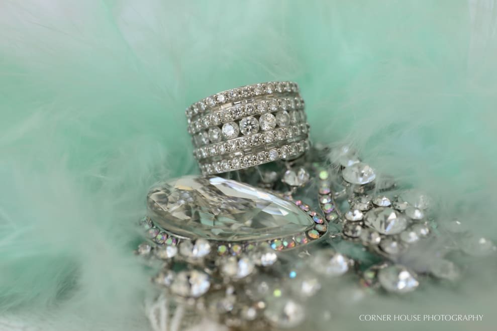 Ebony & Christopher’s Harry P Leu Gardens Engagement