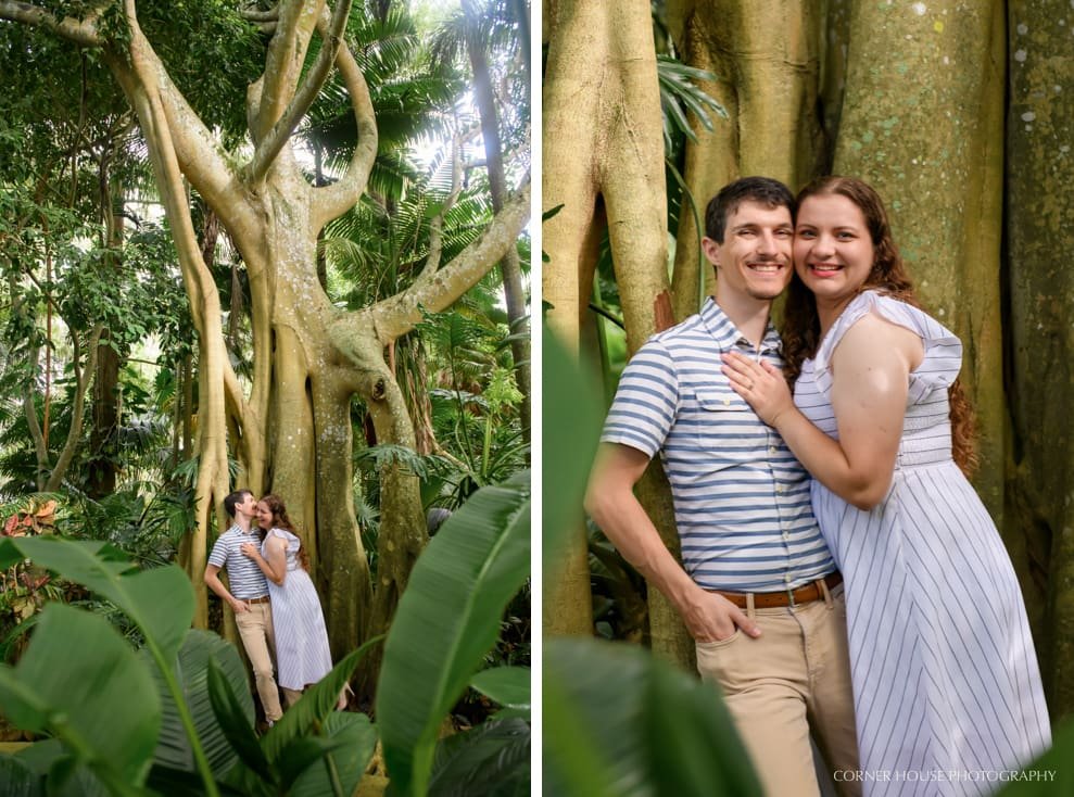 Mariya & Michael’s Harry P Leu Gardens Engagement