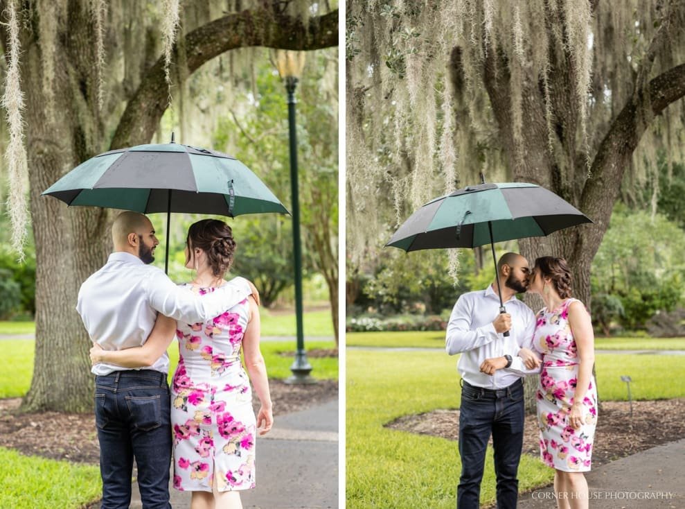 Harry P. Leu Gardens Engagement Harry P. Leu Gardens Engagement