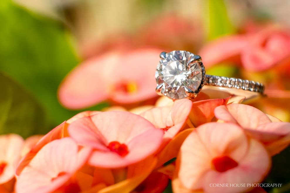 Rachel & Austin’s Harry P Leu Gardens Engagement