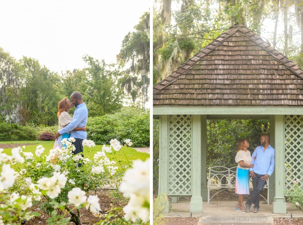 Harry P Leu Gardens Engagement Harry P Leu Gardens Engagement